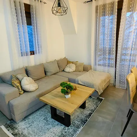 Apartman Vidak *