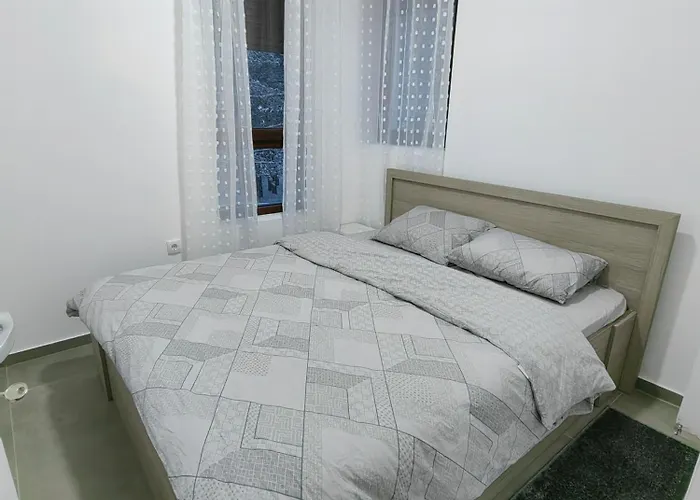 Vidak Apartman