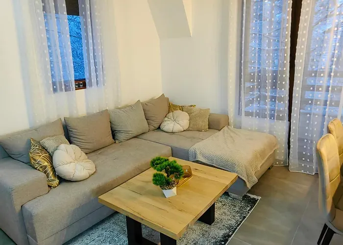 Apartman Vidak *
